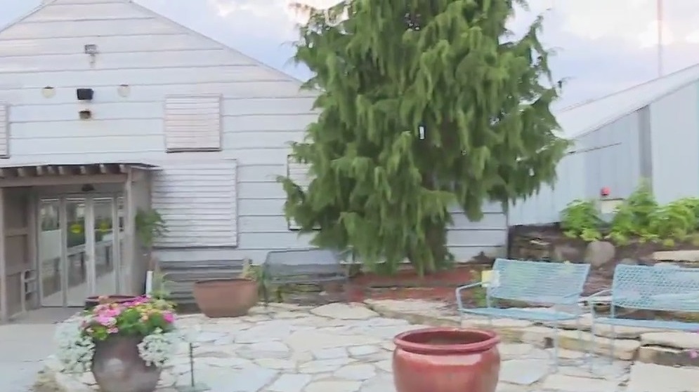 Shady Lane Greenhouse is a nursery and garden center
